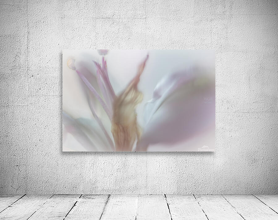 085A4753 Wall Preview