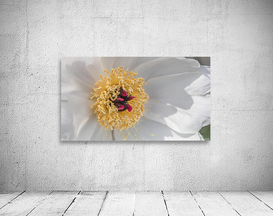 085A0543 Wall Preview