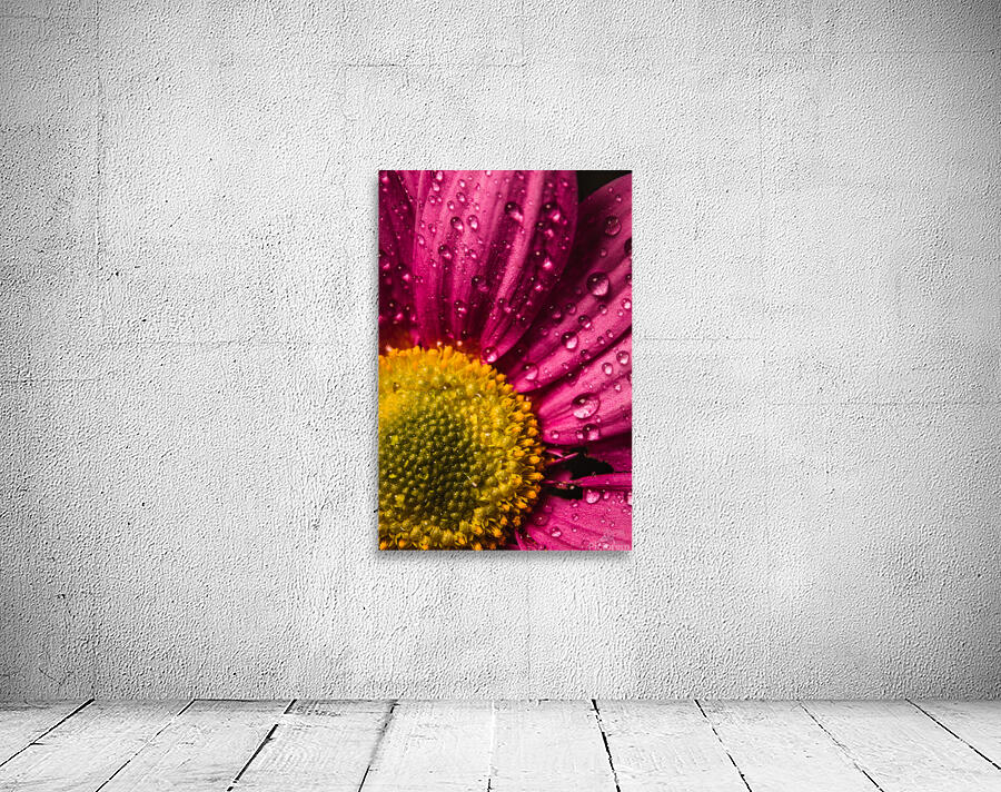 085A6793 Wall Preview