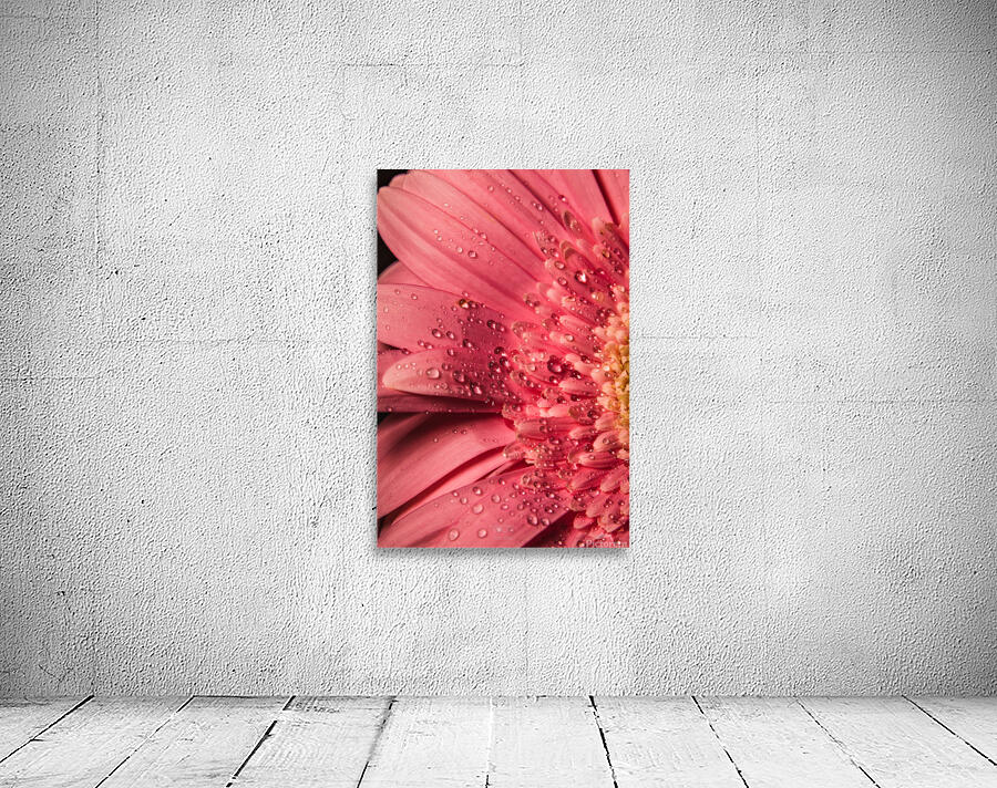 085A6788 Wall Preview