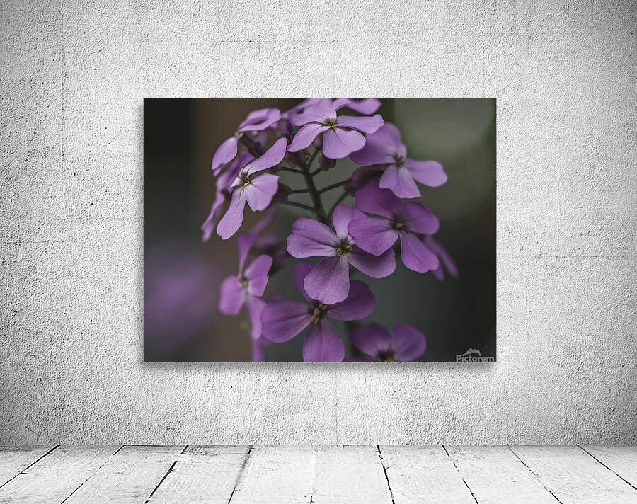 085A0658 Wall Preview