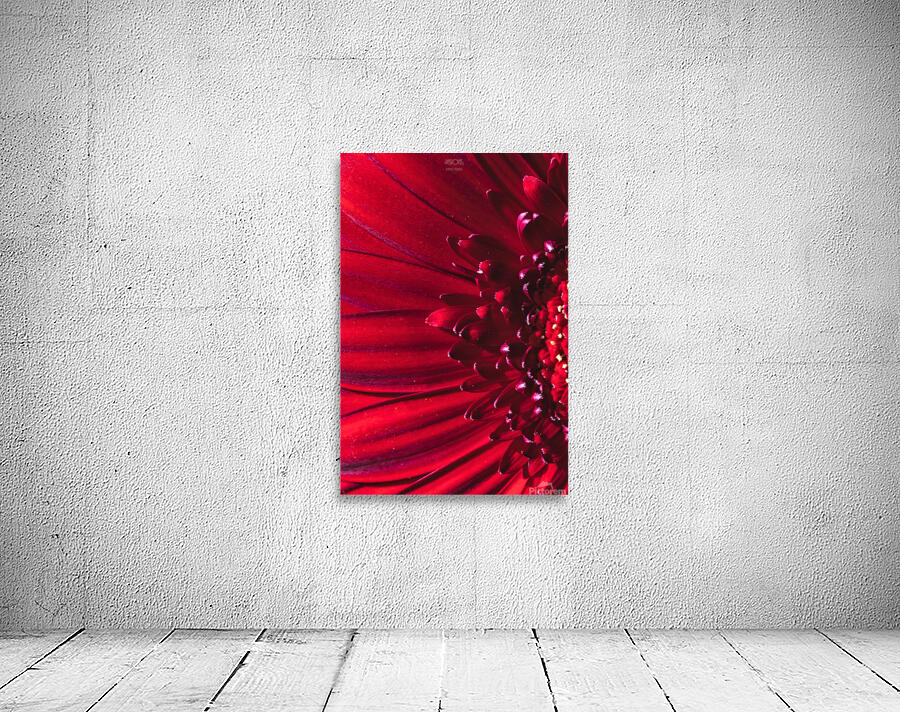 085A6374 Wall Preview