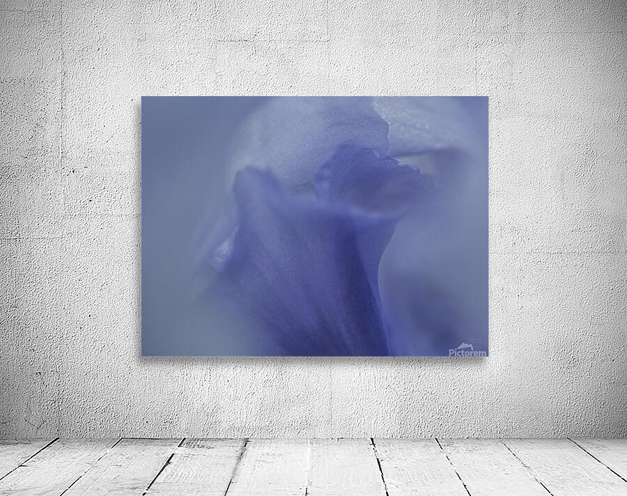 085A0578 Wall Preview
