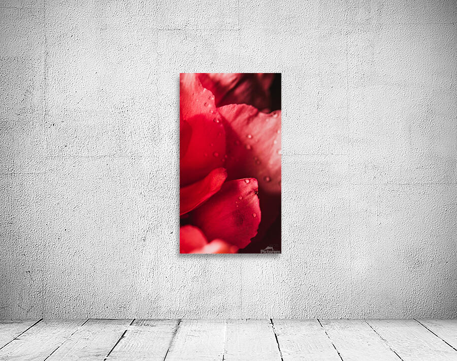 085A6781 Wall Preview