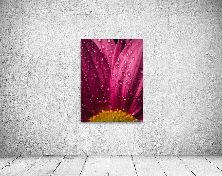 085A6795 Wall Preview