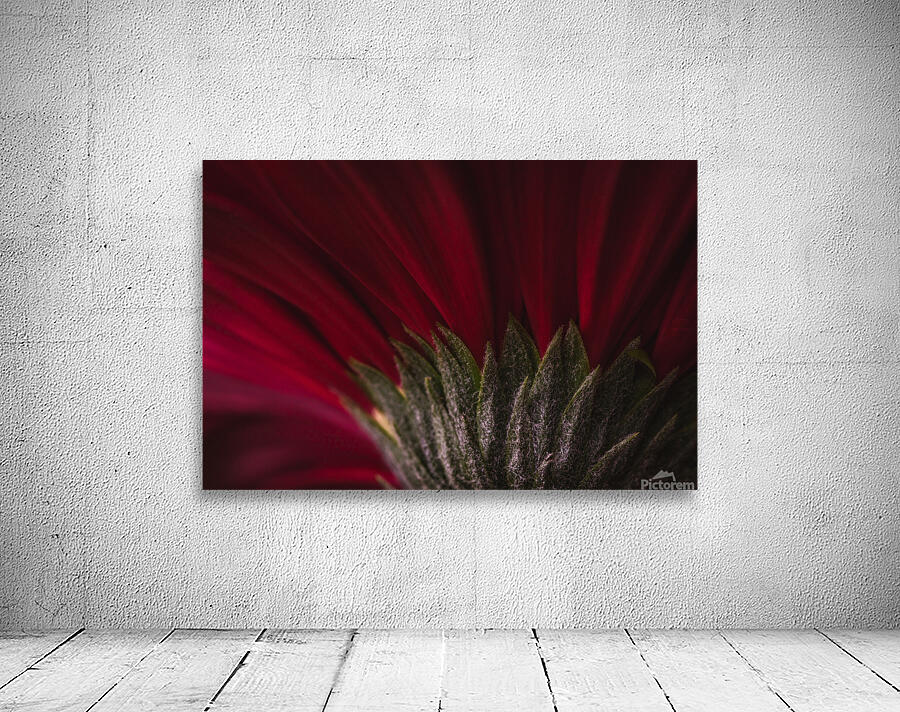 085A6451 Wall Preview