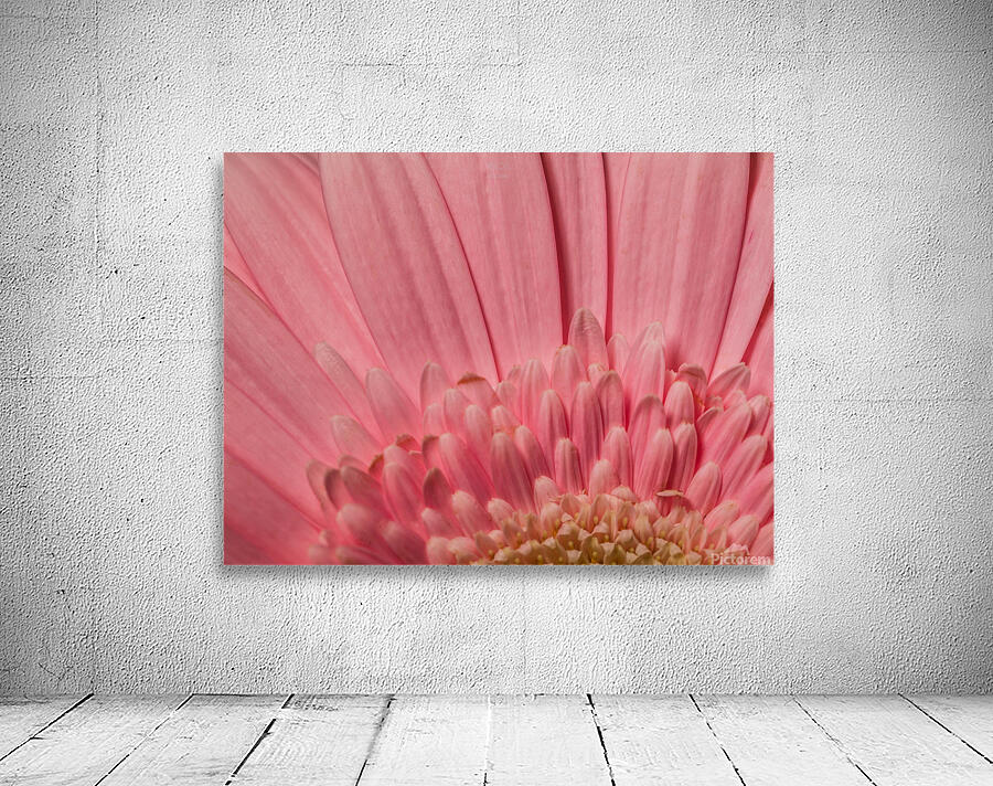 085A6746 Wall Preview