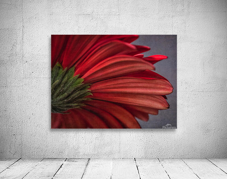 085A6446 Wall Preview