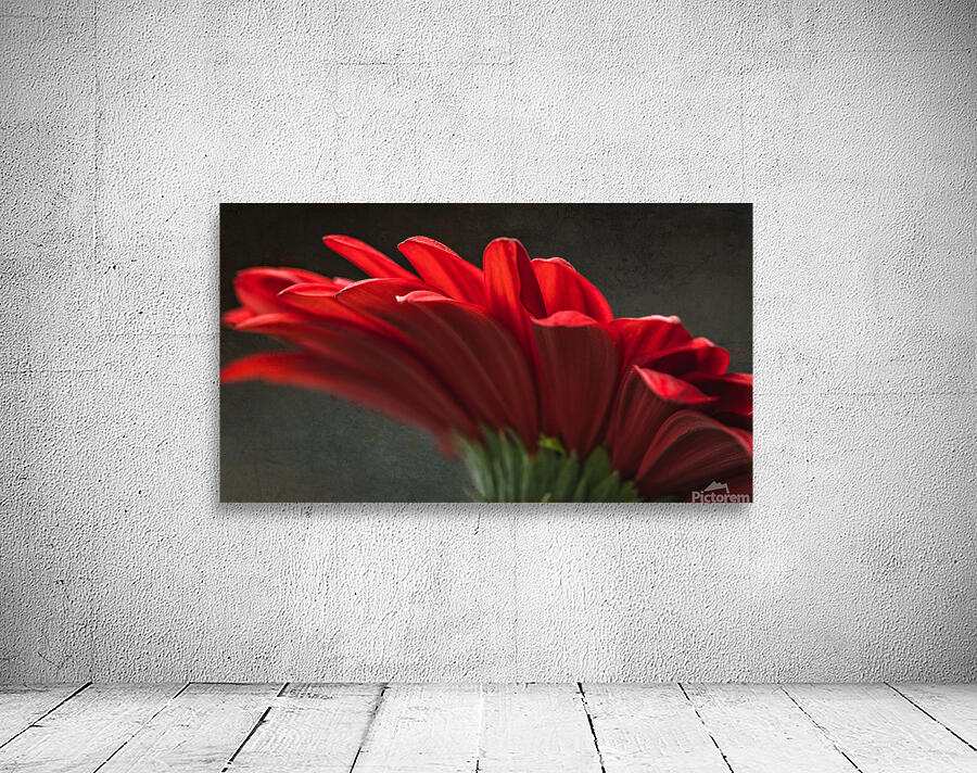 085A6457 Wall Preview