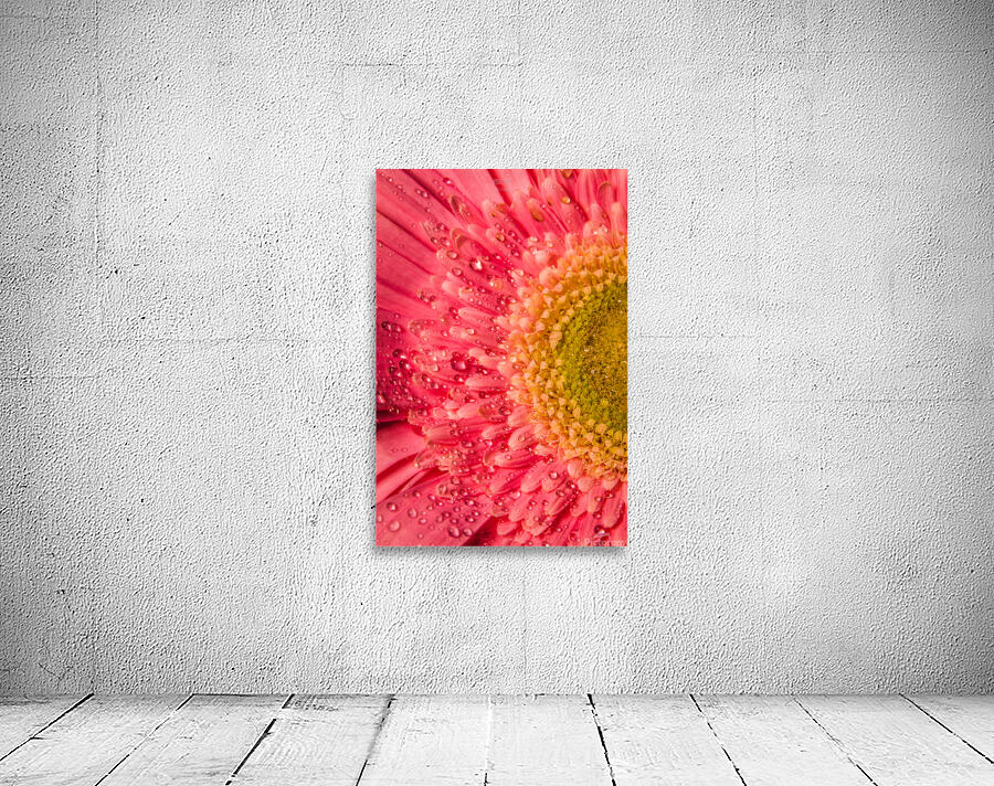 085A6787 Wall Preview