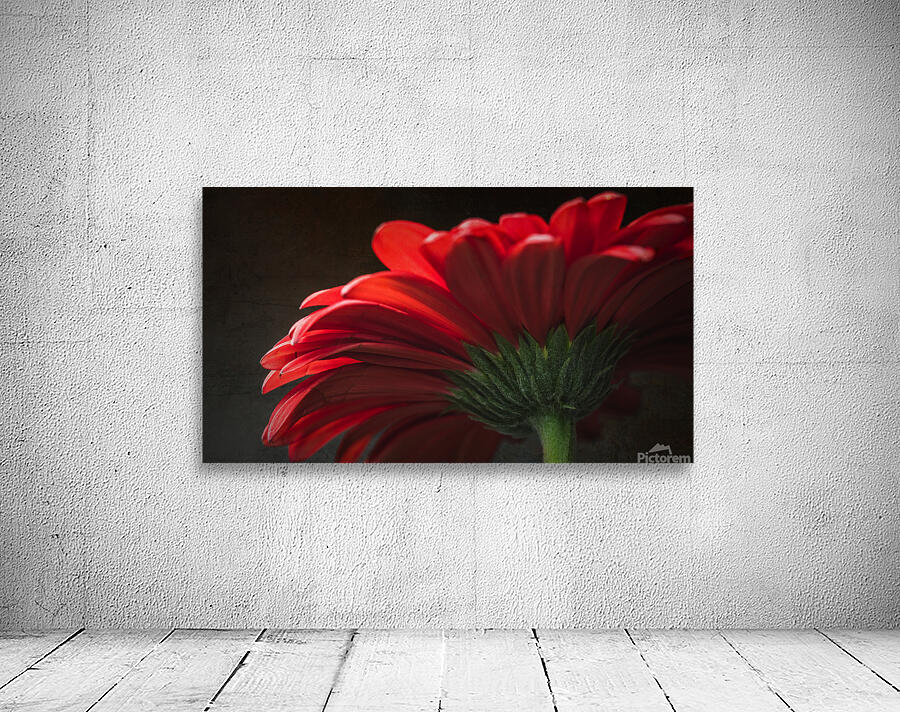 085A6468 Wall Preview