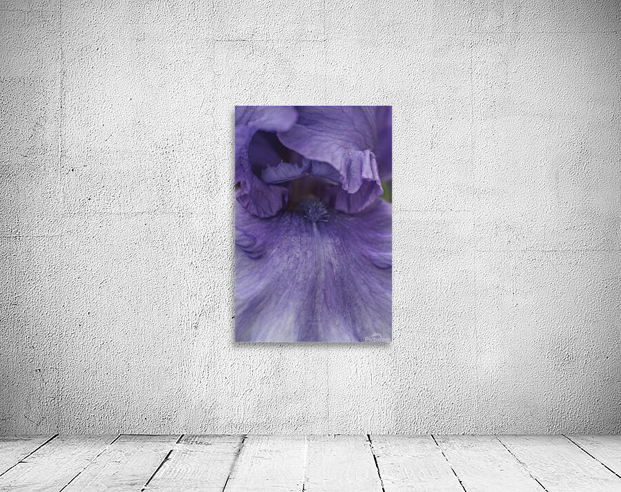 085A0643 Wall Preview