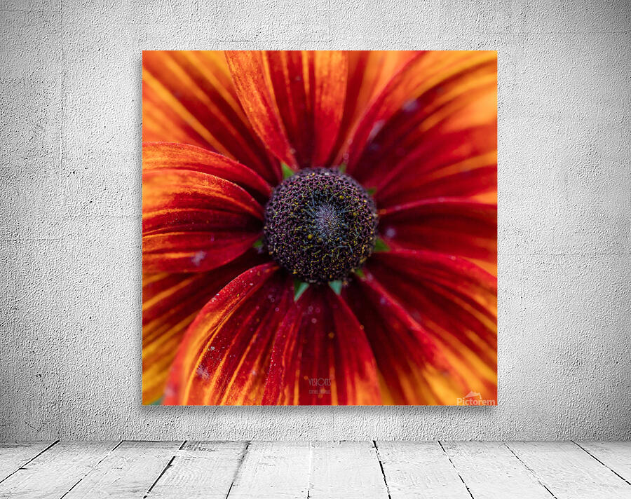 044A9560 Wall Preview