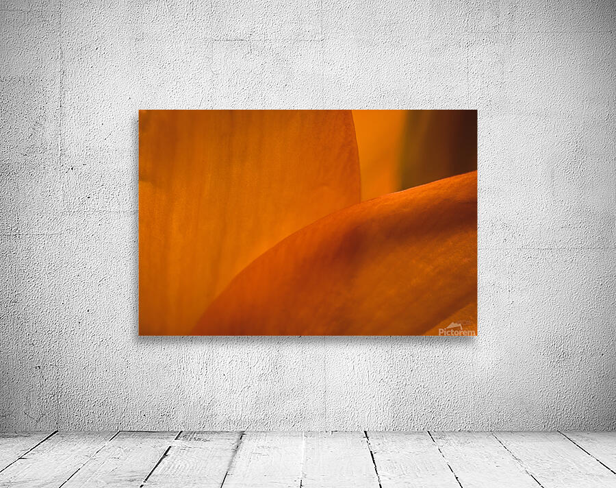 085A7043 Wall Preview
