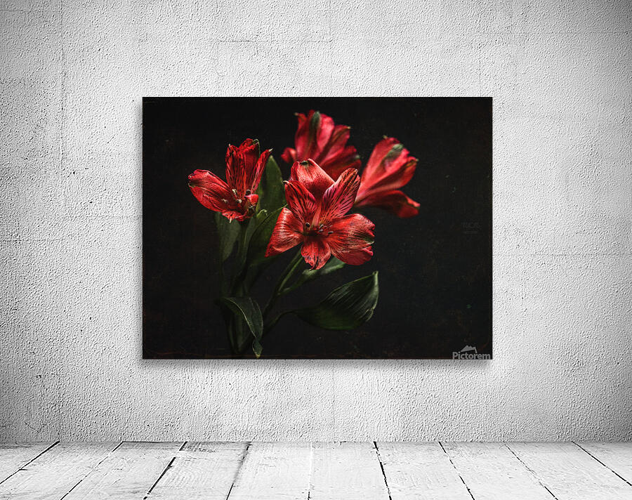085A7087 Wall Preview