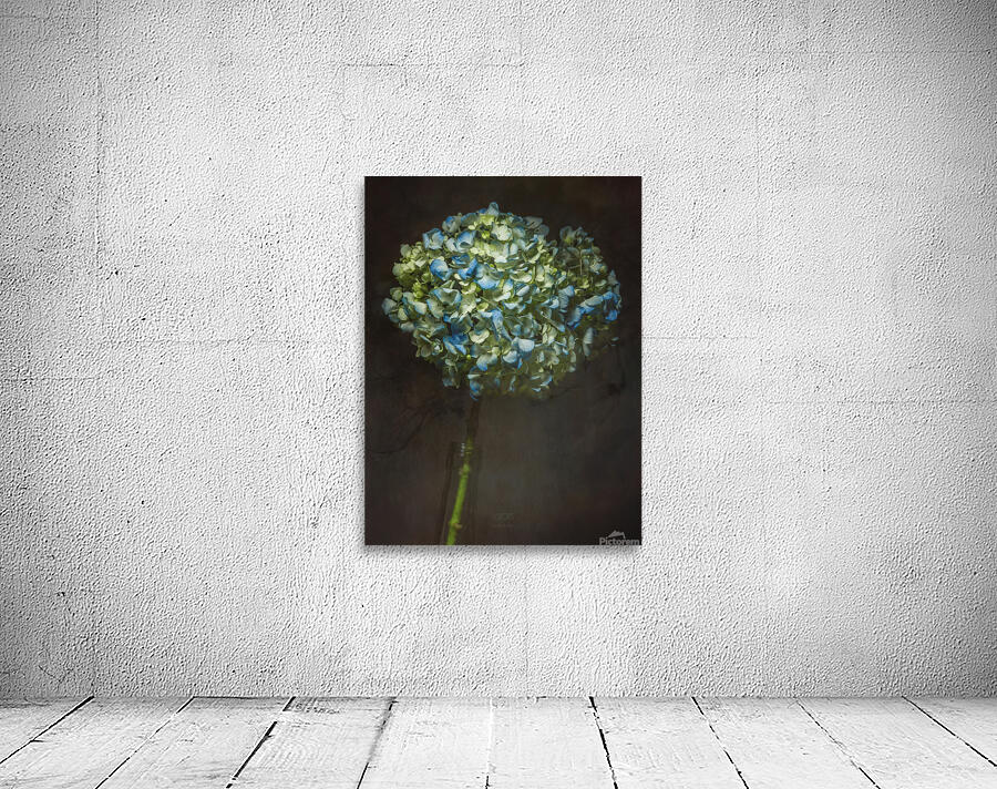 085A7091 Wall Preview