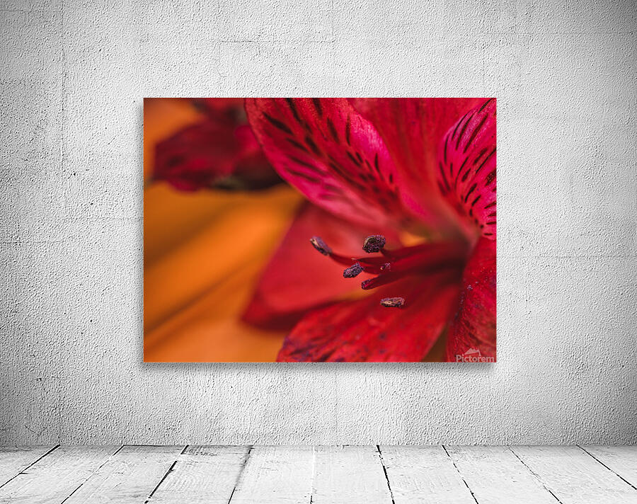 085A7061 Wall Preview