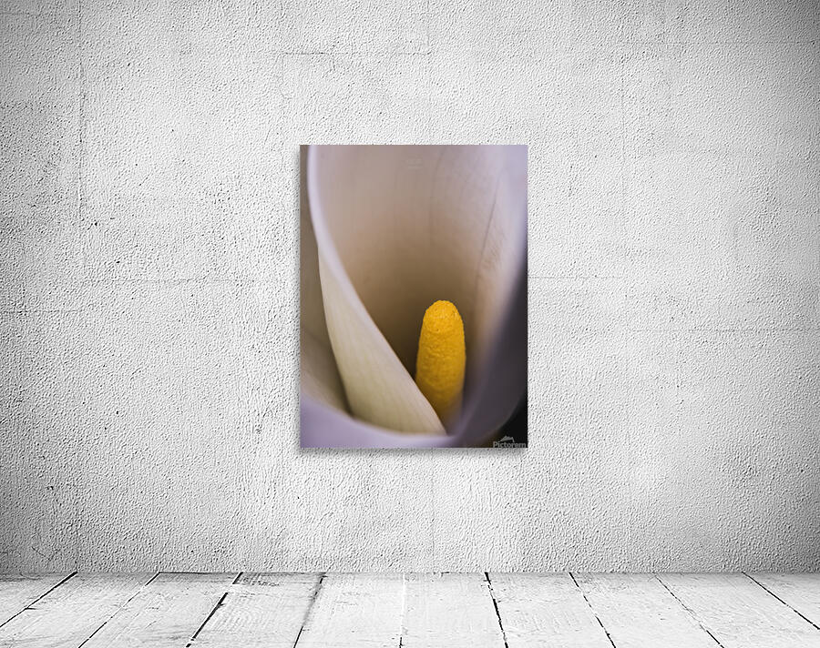 085A6804 Wall Preview