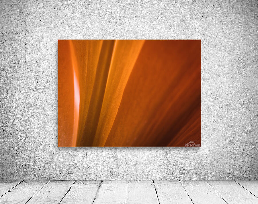 085A7011 Wall Preview