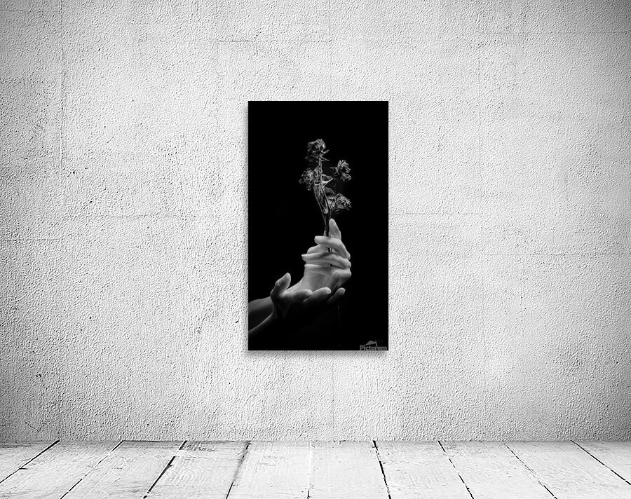 085A7344 Wall Preview