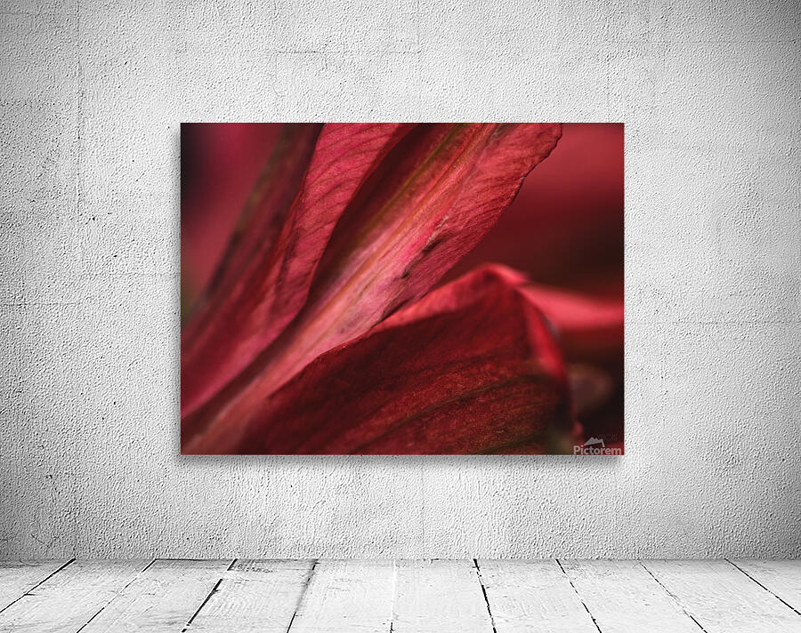 085A6987 Wall Preview