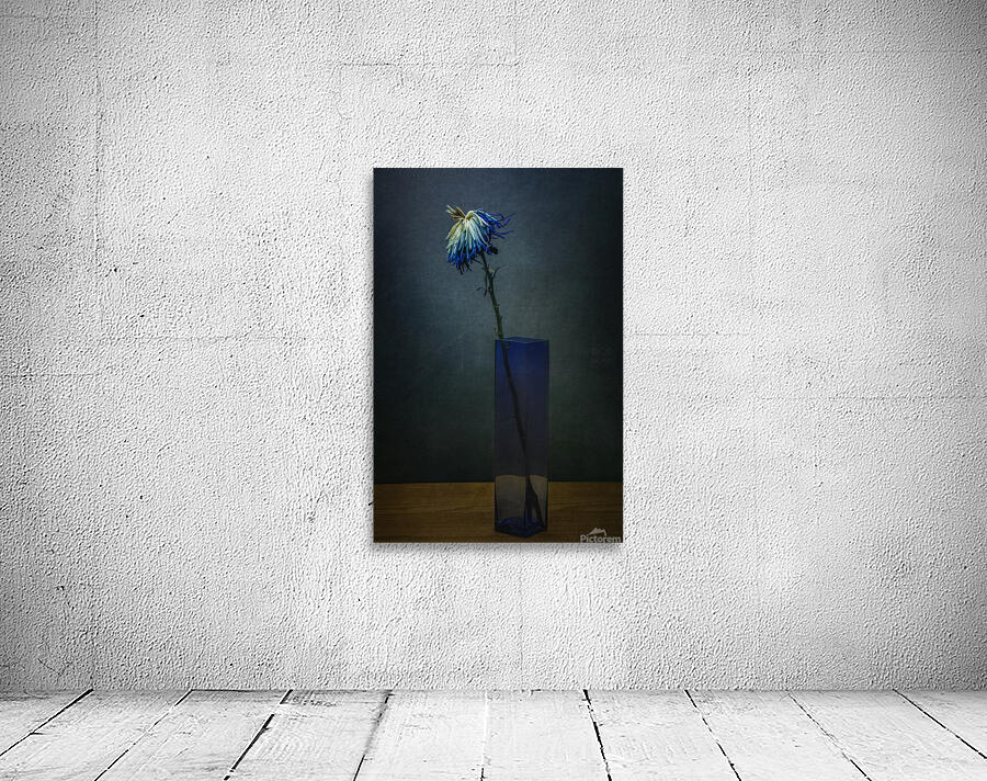 085A8429 Wall Preview