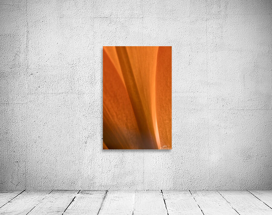085A7016 Wall Preview