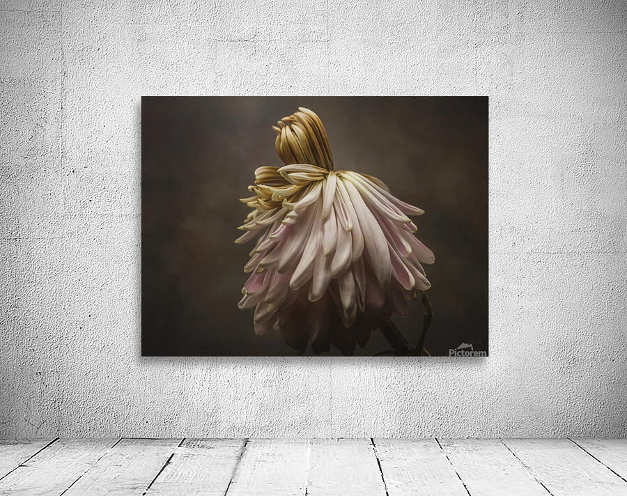 085A7736 Wall Preview