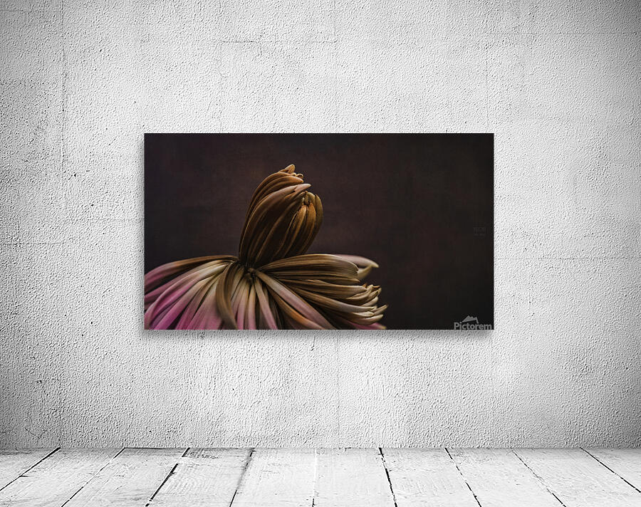085A7748 Wall Preview