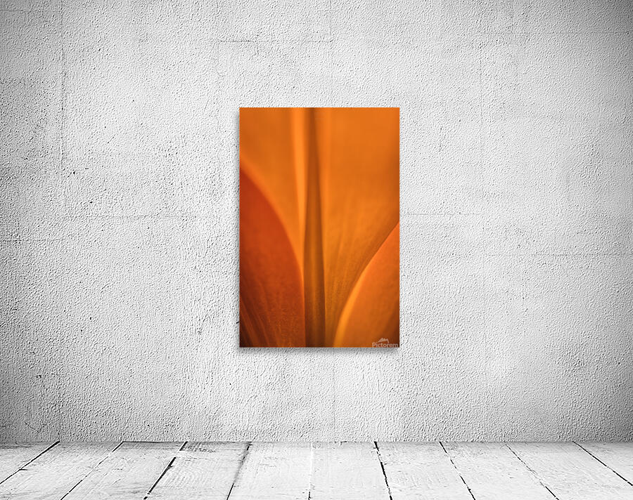 085A7013 Wall Preview