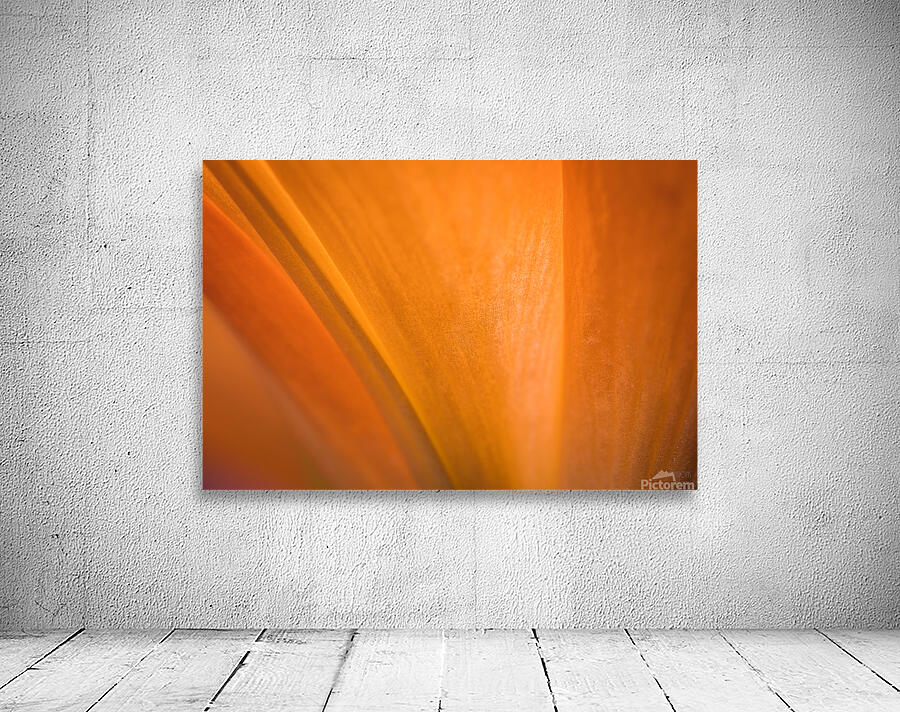 085A7032 Wall Preview