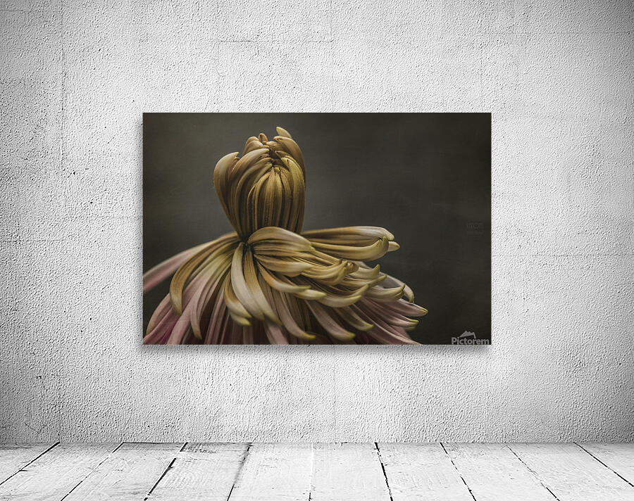 085A7745 Wall Preview