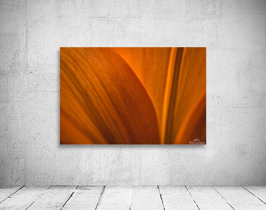 085A6995 Wall Preview
