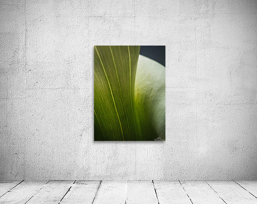 085A6963 Wall Preview