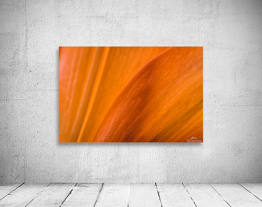 085A7019 Wall Preview