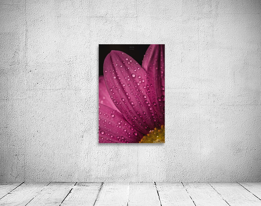 085A6802 Wall Preview