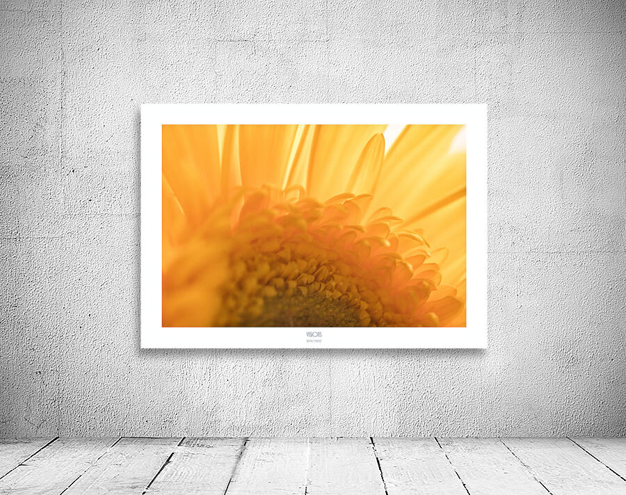  44A2742 Wall Preview