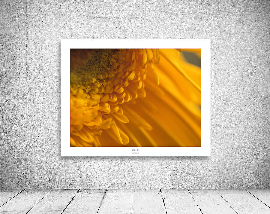  44A2736 Wall Preview