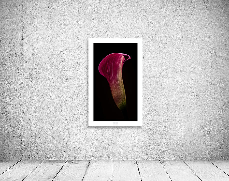 044A3576 Wall Preview