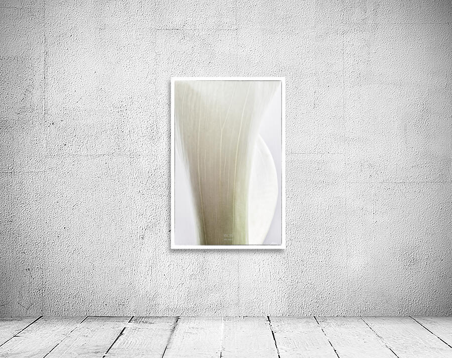 044A2247  Wall Preview