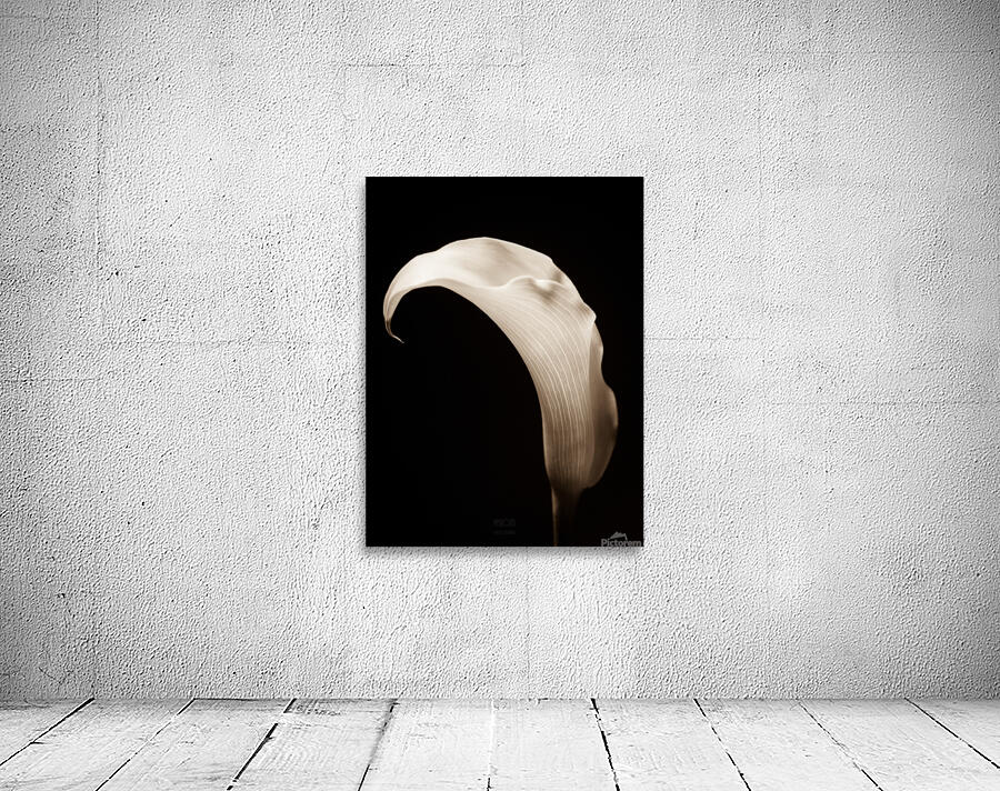044A3751 Wall Preview