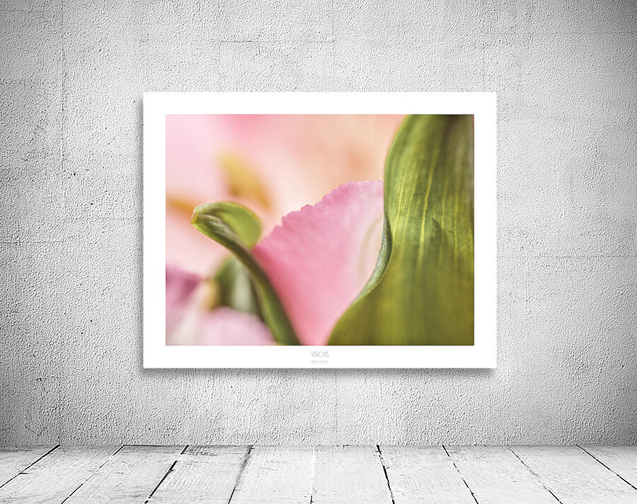 044A3885 Wall Preview