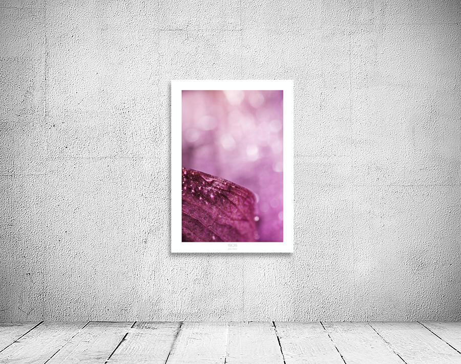 044A3951 Wall Preview