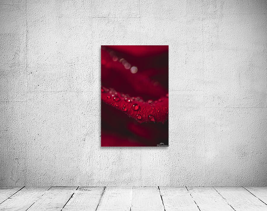 044A4079 Wall Preview