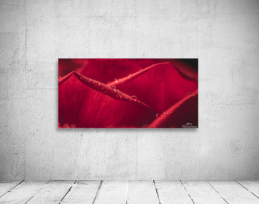 044A4073 Wall Preview