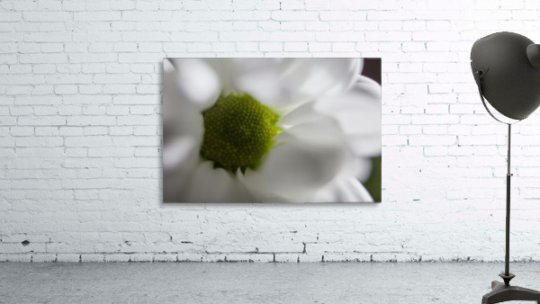 Purete Wall Preview