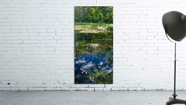 Monet style 2 Wall Preview