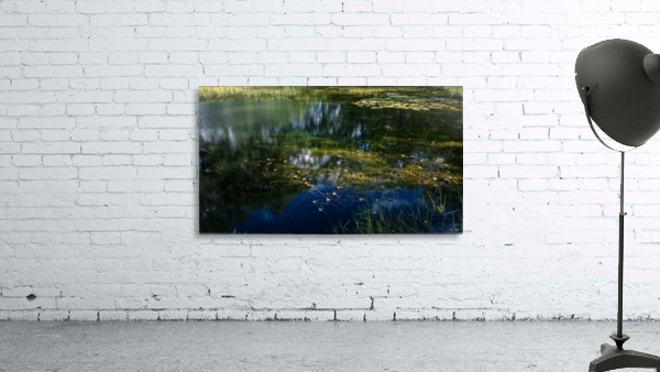 Monet style 3 Wall Preview