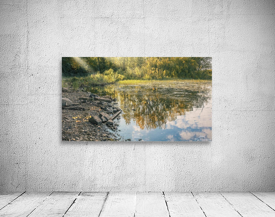 Monet style 4 Wall Preview