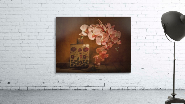 Etude Zen 7e Wall Preview